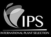 Logo IPS